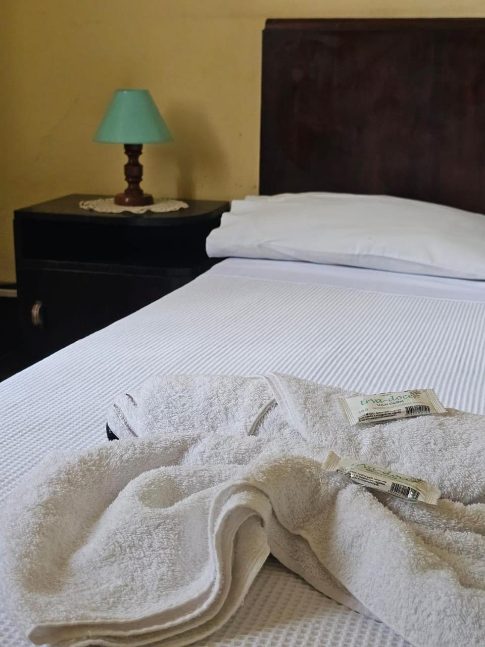 Varzea Palace Hotel Teresópolis Exteriör bild